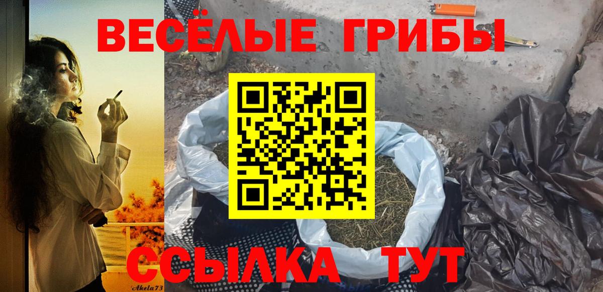 Галлюциногенные грибы мицелий  Псилоцибиновые грибы GOLDEN TEACHER  Вход с VPN  Выборг 