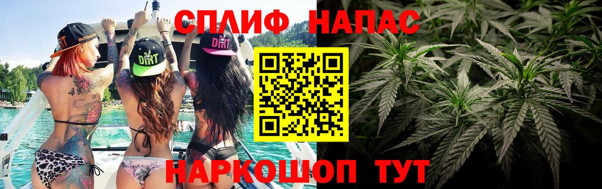Выборг  Бошки марихуана конопля  МАРИХУАНА планчик  Вход с VPN 
